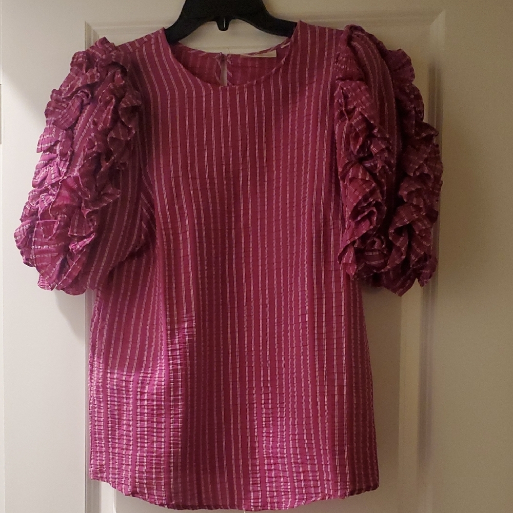 Elegant Pink Ruffle Sleeve Top
